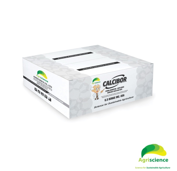 Phân bón lá - CALCIBOR USA