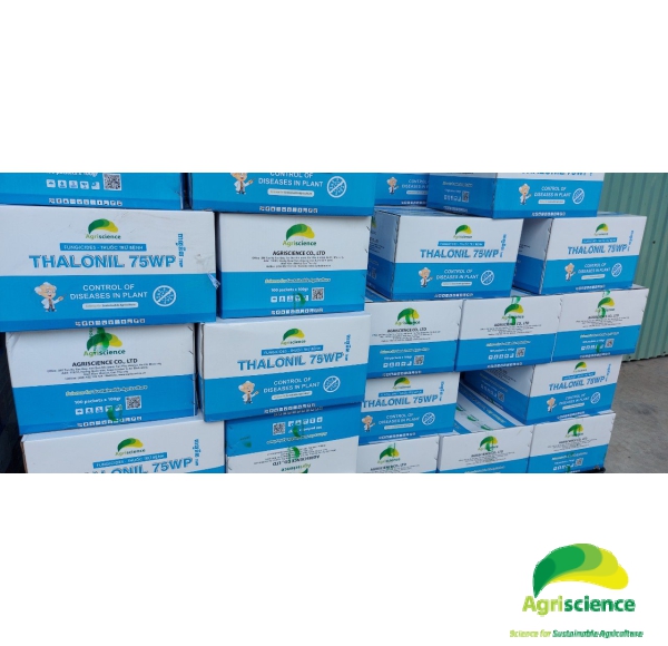 THUỐC TRỪ BỆNH THALONIL 75WP