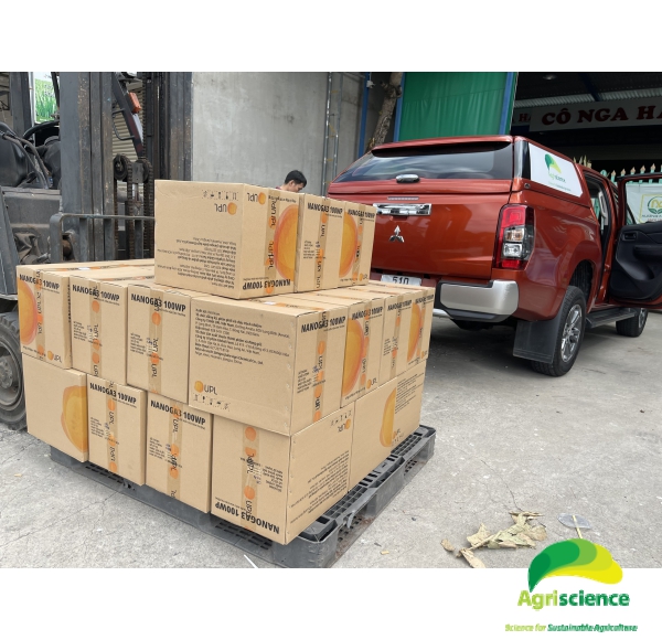 THUỐC ĐIỀU HÒA SINH TRƯỞNG NANO GA3 100WP